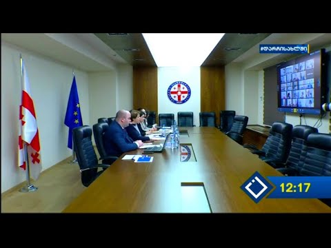 საერთაშორისო პარტნიორებთან ვიდეო კონფერენცია გაიმართა